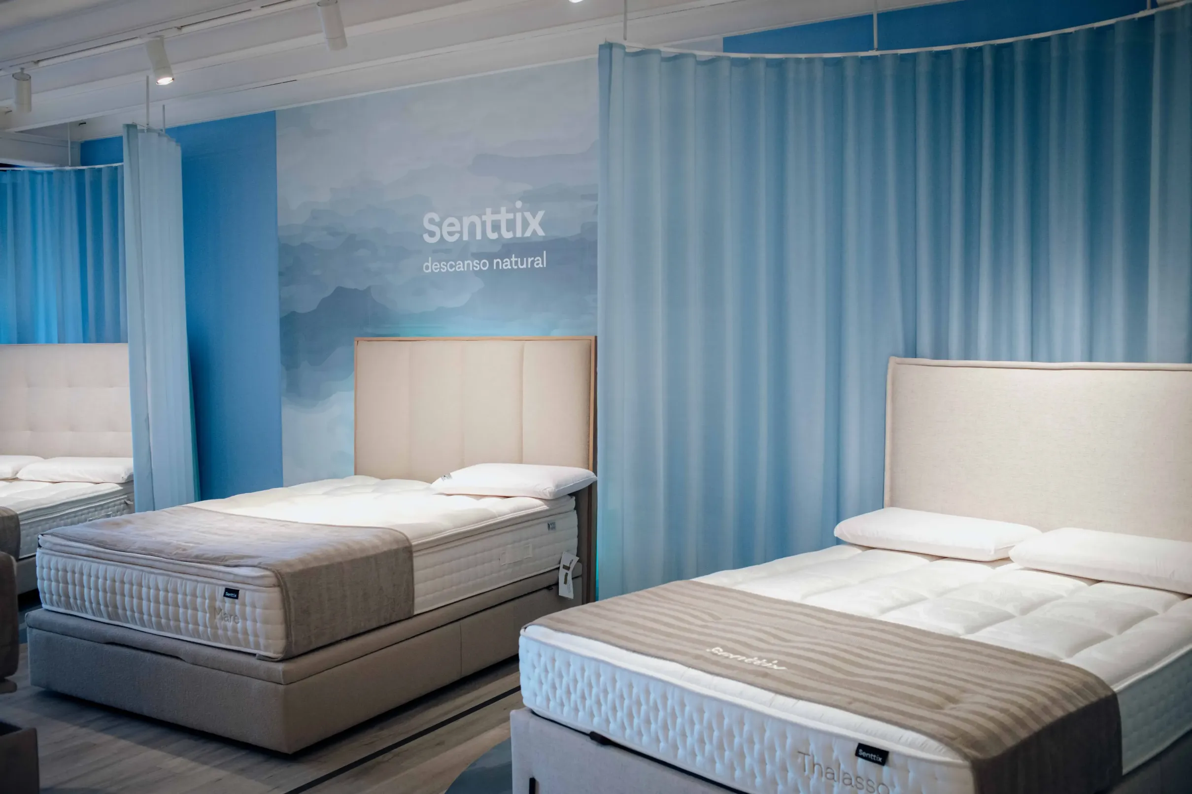 Liquidación por cambio de colección en Senttix